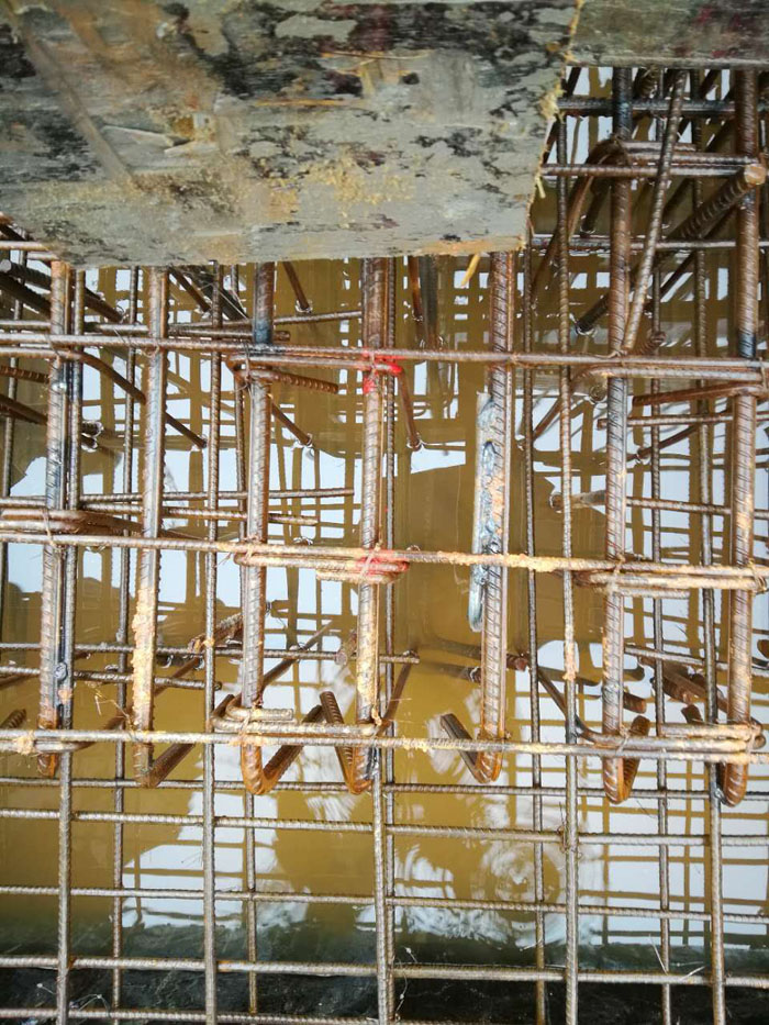 �f�d���¹ųǷ��ף��Ž����ף�