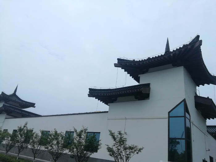 �Ž��������